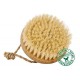 Brosse en bambou, soies de coco - Croll & Denecke