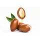 Huile végétale BIO d'Argan - Saint Hilaire