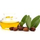 Huile végétale BIO de Jojoba - Saint Hilaire