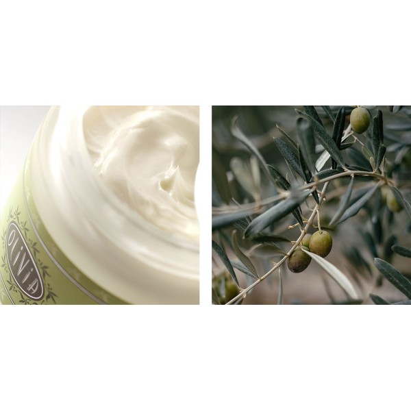 Crème hydratante BIO à l'huile d'olive & beurre de karité - Marius Fabre