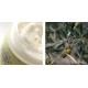 Crème hydratante BIO à l'huile d'olive & beurre de karité - Marius Fabre