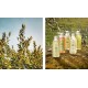 Gamme Olivia BIO - Marius Fabre