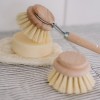 Brosse à vaisselle - Brush - Spülbürste - Croll & Denecke