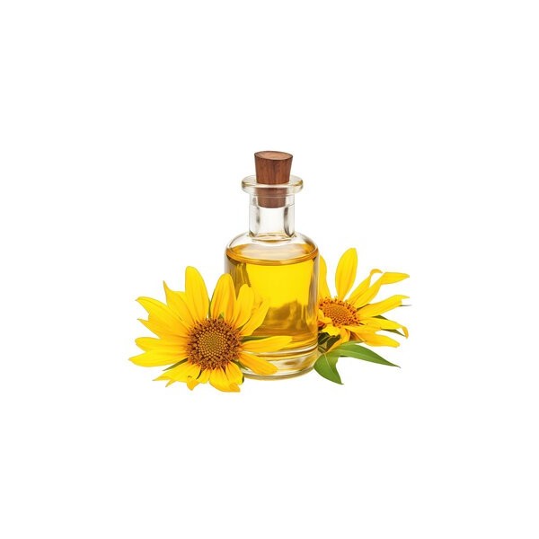 Macérat huileux BIO d'Arnica - Saint Hilaire