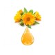Macérat huileux BIO de Calendula - Saint Hilaire