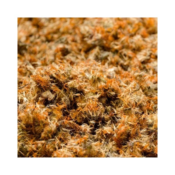 Macérat huileux BIO de Calendula - Saint Hilaire