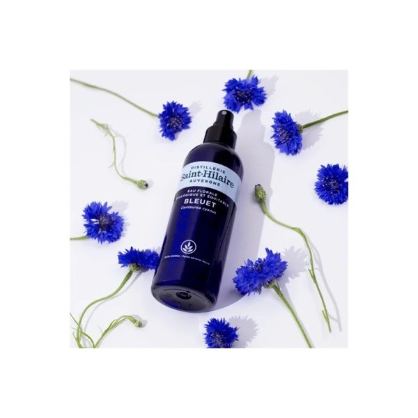 Hydrolat (Eau florale) de Bleuet bio - Saint Hilaire