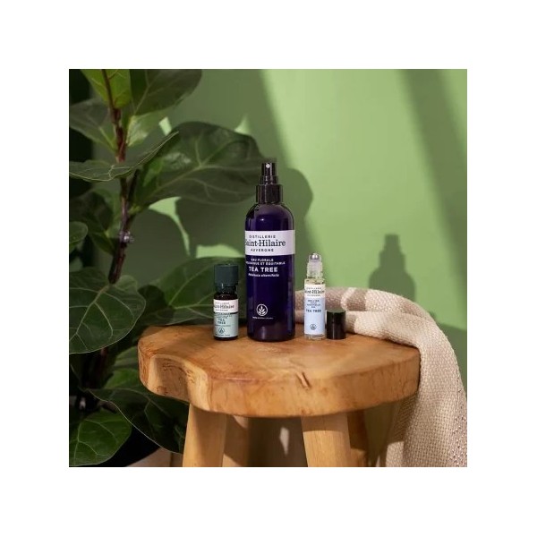 Hydrolat (Eau florale) de Tea Tree bio - Saint Hilaire
