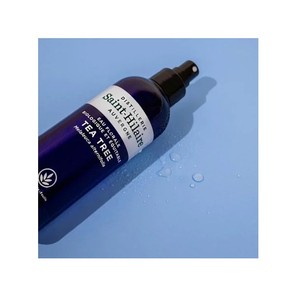 Hydrolat (Eau florale) de Tea Tree bio - Saint Hilaire