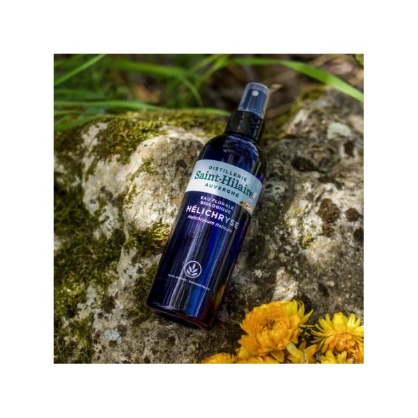 Eau florale (hydrolat) d'Hélichryse bio - Saint Hilaire