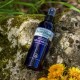 Eau florale (hydrolat) d'Hélichryse bio - Saint Hilaire