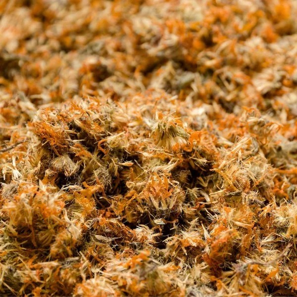 Eau florale (hydrolat) de Calendula bio - Saint Hilaire