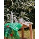 Gamme Aloé de Corfou Tadé