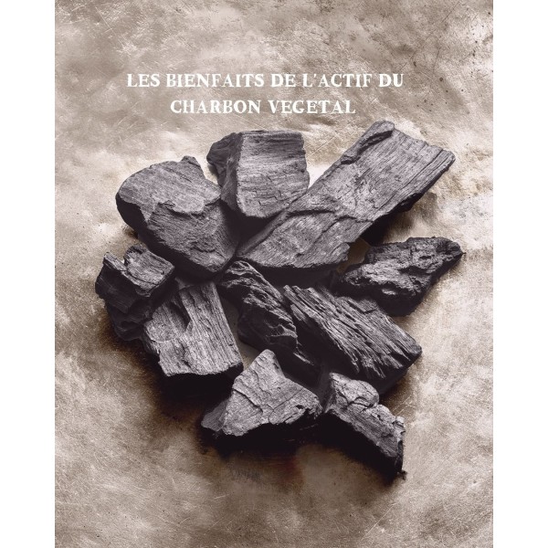 Charbon végétal actif