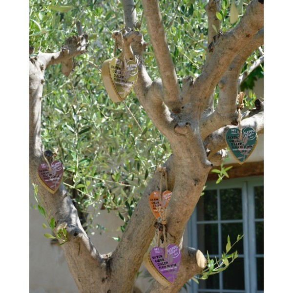 Savons Coeurs d'Alep - Tadé